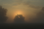  DSC0044-9 medium b r www