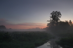  DSC0381-2 medium b r www